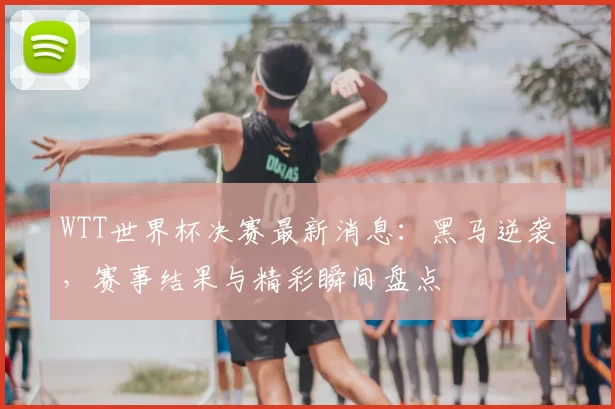 WTT世界杯决赛最新消息：黑马逆袭，赛事结果与精彩瞬间盘点