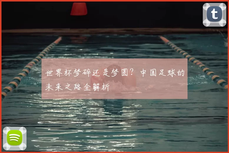 世界杯梦碎还是梦圆?中国足球的未来之路全解析