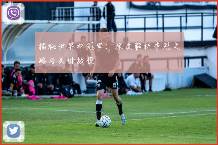 揭秘世界杯冠军:深度解析夺冠之路与关键战役