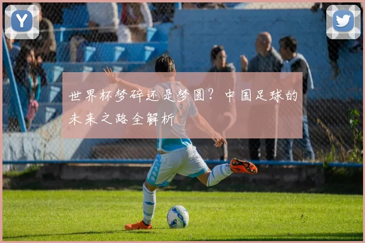 世界杯梦碎还是梦圆?中国足球的未来之路全解析